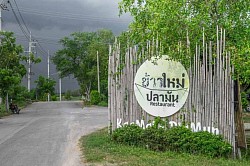ร้านข้าวใหม่ปลามัน